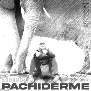 อัลบัม Pachiderme (Explicit) ศิลปิน Sabrack