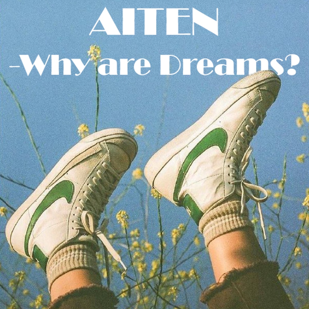 Why Are Dreams?