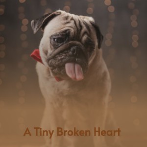 Listen to Now Is the Hour song with lyrics from Burl Ives