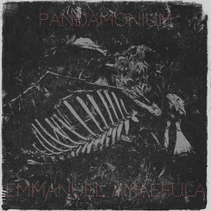 Album Pandamonium from Emmanuel Amaefula