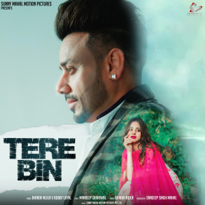 Listen to Tere Bin song with lyrics from Bhinda Aujla