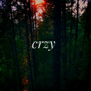 ดาวน์โหลดและฟังเพลง Crzy พร้อมเนื้อเพลงจาก withfish