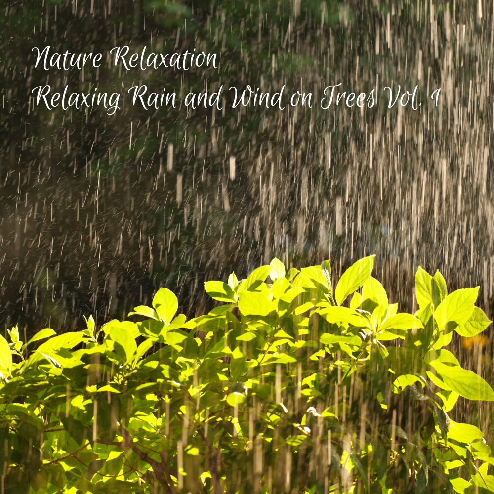 Evening Raindrops for Cats