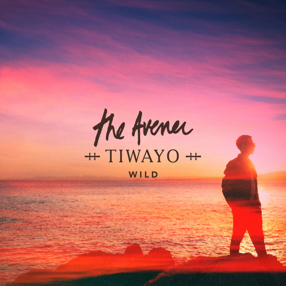 Wild (The Avener Rework)