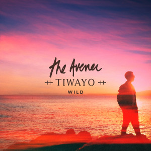 收聽The Avener的Wild (The Avener Rework)歌詞歌曲