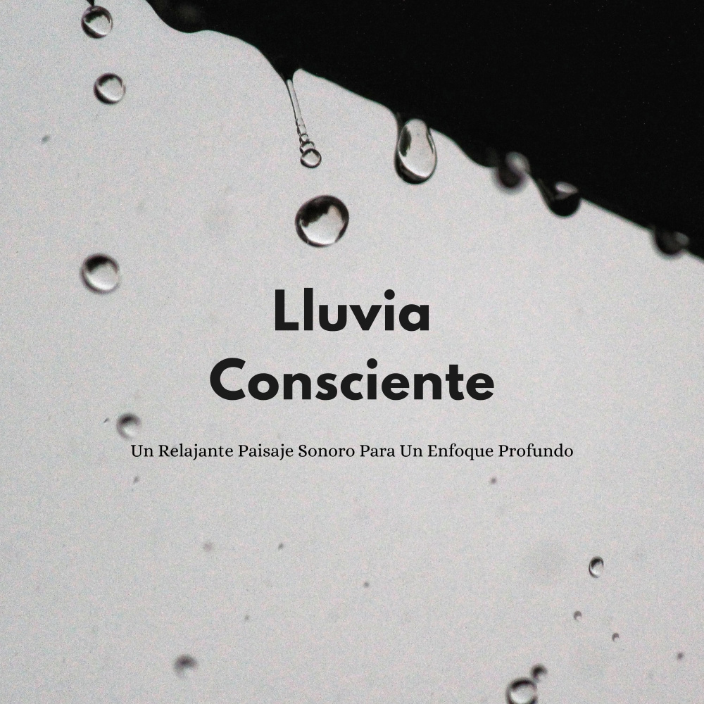 Patrones De Productividad