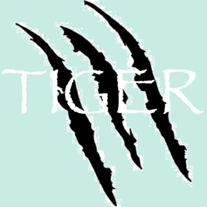 收聽Tiger的Spring歌詞歌曲