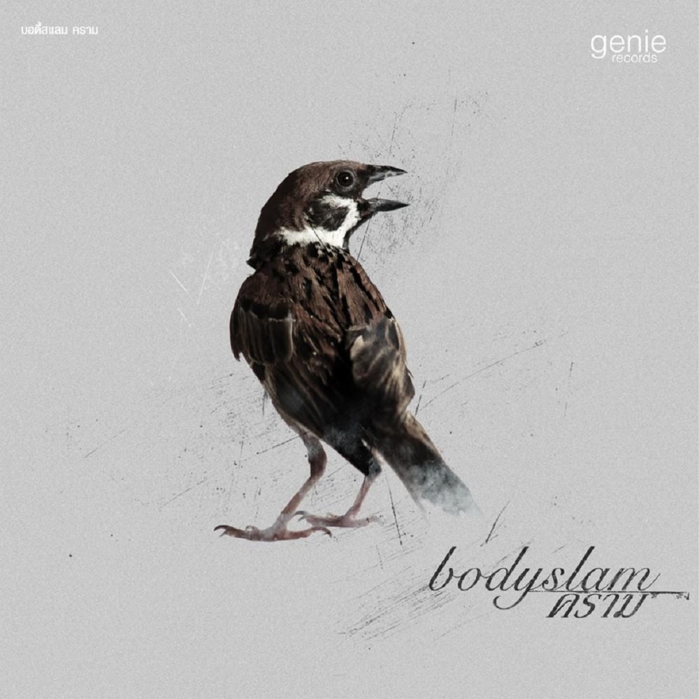 default column 1205x682 img