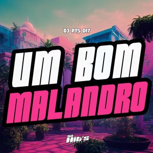 Listen to Um Bom Malandro (Explicit) song with lyrics from DJ PTS 017