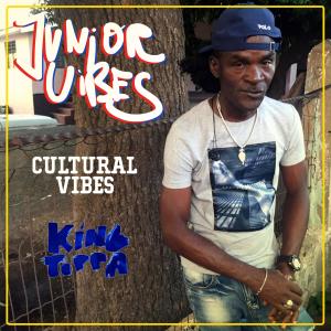 Junior Vibes的專輯Cultural Vibes