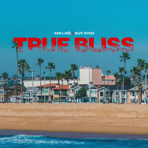 Album True Bliss from Sam Lans!
