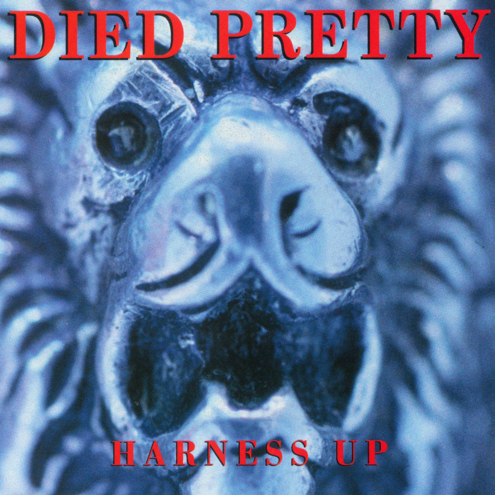Harness Up (Extended Version)