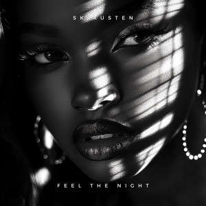 收听SK Austen的Feel the Night歌词歌曲