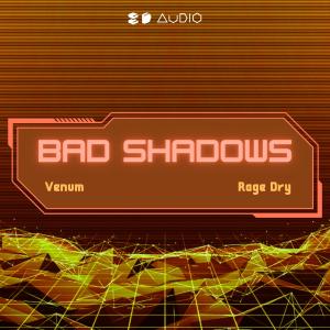 Album Bad Shadows (8D Audio) from Rage Dry
