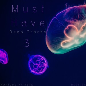 อัลบัม Must Have Deep Tracks, Vol.3 ศิลปิน Various