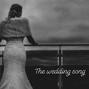ดาวน์โหลดและฟังเพลง The Wedding Song พร้อมเนื้อเพลงจาก Fred Øst