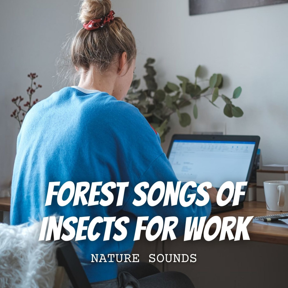 Nature's Motivating Melodies
