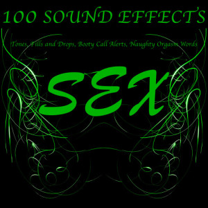 อัลบัม 100 Sex Sound Effects Tones, Fills and Drops, Booty Call Alerts, Naughty Orgasm Words (Explicit) ศิลปิน Ringtone Records