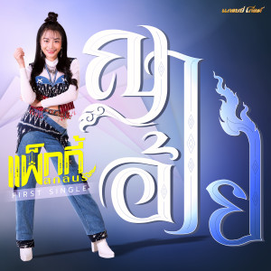 ดาวน์โหลดและฟังเพลง ญาอ้าย พร้อมเนื้อเพลงจาก แพ็กกี้ สกลนรี