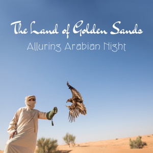 Listen to Silent Desert Song song with lyrics from Chill Out Sounds Collective