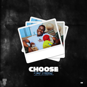 ดาวน์โหลดและฟังเพลง Choose พร้อมเนื้อเพลงจาก Remy Baggins