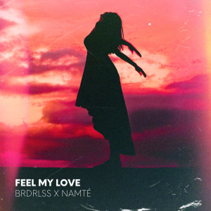 ดาวน์โหลดและฟังเพลง Feel My Love พร้อมเนื้อเพลงจาก Brdrlss