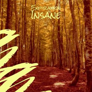 Album Expiration Insane from Various