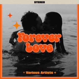 Listen to When A Man Loves A Woman song with lyrics from Percy Sledge