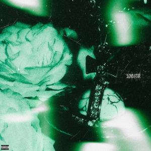 Lonestar的專輯VIVIENNE CHAIN (Explicit)