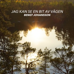 Bengt Johansson的專輯Jag San Se en Bit av vägen