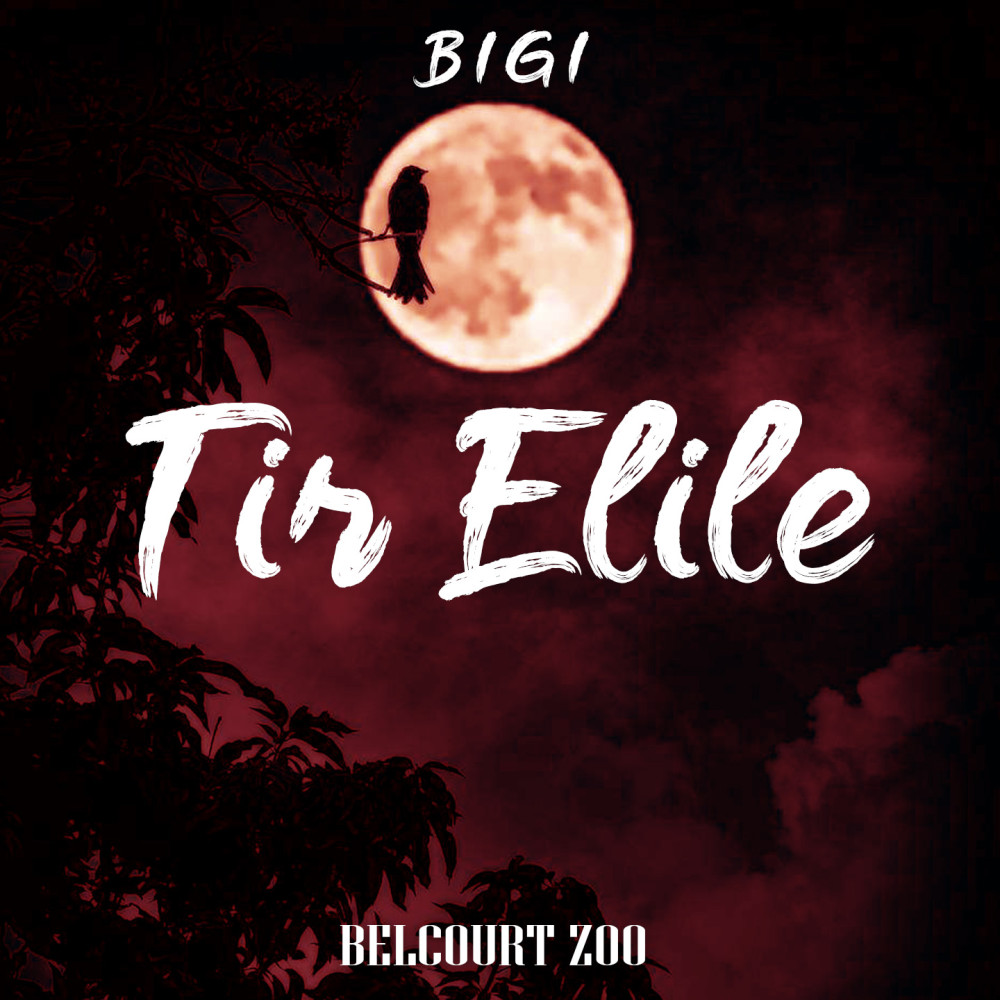 Tir Elile