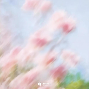 Album Once More from Harmless Night