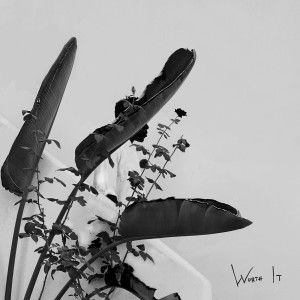 ดาวน์โหลดและฟังเพลง Worth It พร้อมเนื้อเพลงจาก Moses Sumney