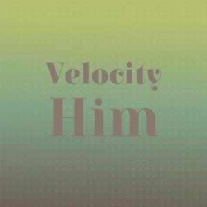 อัลบัม Velocity Him ศิลปิน ดารานักร้องหลายคน