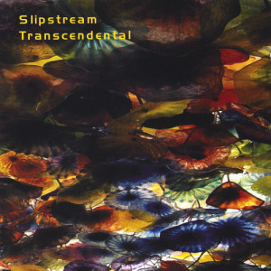 收聽Slipstream的Healing Hands歌詞歌曲