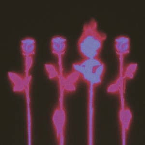 收聽Aimless9的Destiny Love歌詞歌曲