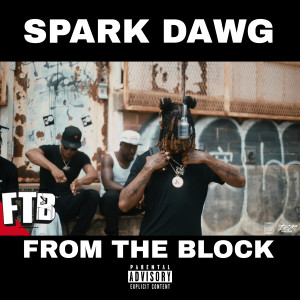 Album From the Block (Explicit) from Spark Dawg