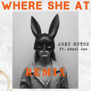 Listen to Where She At (Remix) song with lyrics from Joey Gutos
