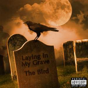 Listen to Laying in My Grave (Explicit) song with lyrics from the Bird