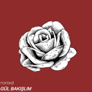 Listen to Gül Bakışlım song with lyrics from ronixd