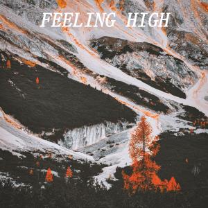 ดาวน์โหลดและฟังเพลง Feeling High(feat. ROMES) (Explicit) พร้อมเนื้อเพลงจาก Hans T