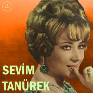 Album Sana Bir Şeyler Söyleyebilsem / Yolladık Almanya'ya from Sevim Tanürek
