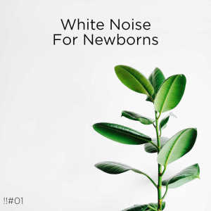 อัลบัม !!#01 White Noise For Newborns ศิลปิน White Noise