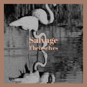 Album Salvage Theirselves from Various