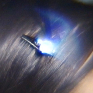 Dengarkan Mentir ah ça j'aime lagu dari Damlif dengan lirik