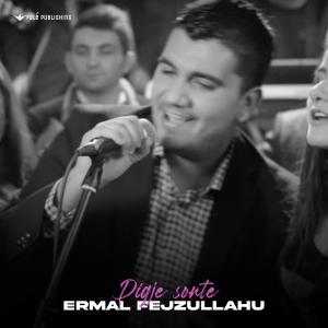 Listen to Digje Sonte song with lyrics from Ermal Fejzullahu