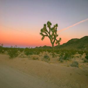 Album Varied Themes from byjoelmichael