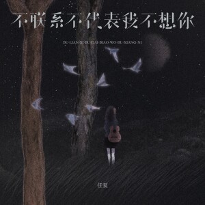 Album 不联系不代表我不想你 from 任夏
