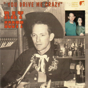 ดาวน์โหลดและฟังเพลง You Drive Me Crazy พร้อมเนื้อเพลงจาก Ray Scott