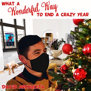 收聽David Archuleta的What a Wonderful Way to End a Crazy Year歌詞歌曲